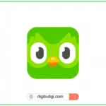 Duolingo Plus